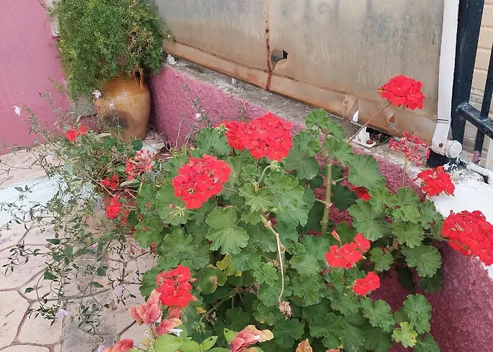 Kontesa Kamara Corfu2