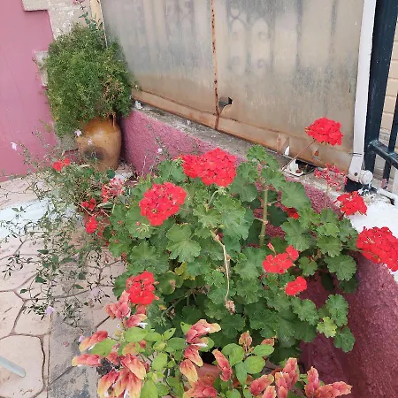 Kontesa Kamara Corfu2